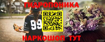 спиды Бийск