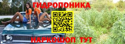 спиды Бийск
