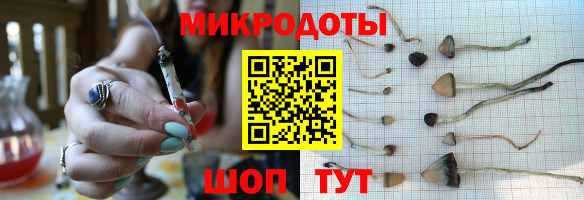 Галлюциногенные грибы GOLDEN TEACHER Качканар